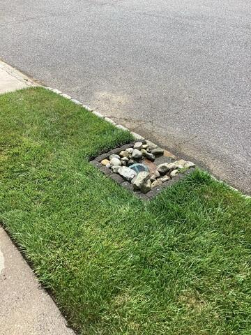 LawnScape