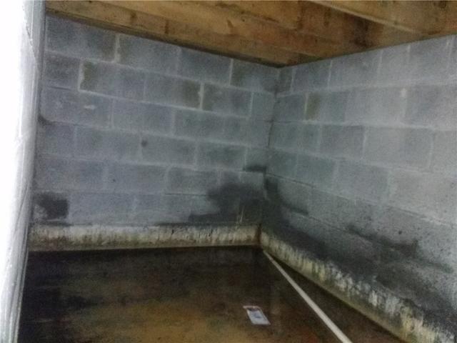 Wet Adelphia Pool House Basement