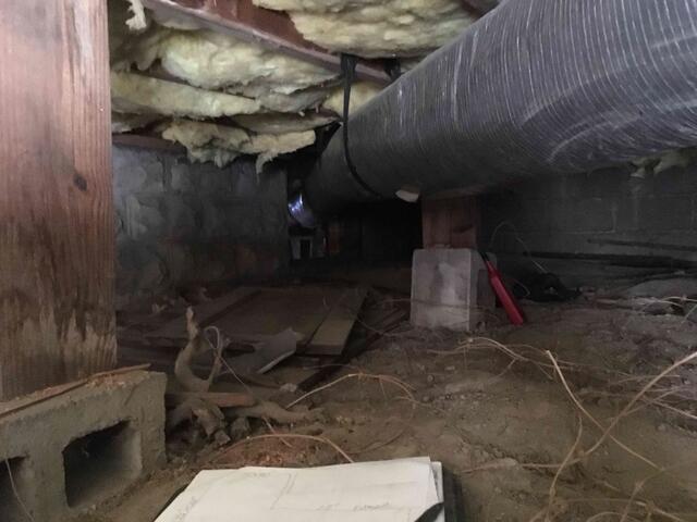 Crawl Space Before Encapsulation and Cleanup