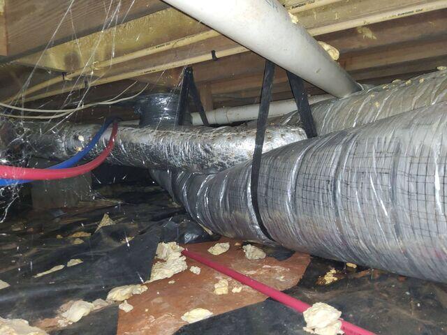 Nasty Crawlspace