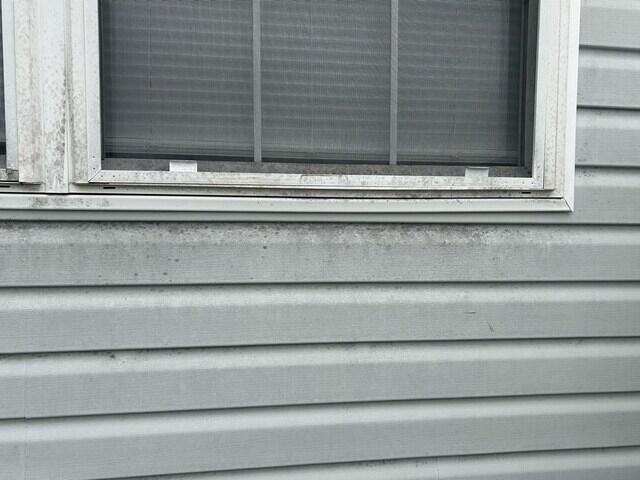 Vinyl Siding