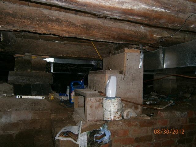 Entering the creepy crawlspace in Northern Minnesota