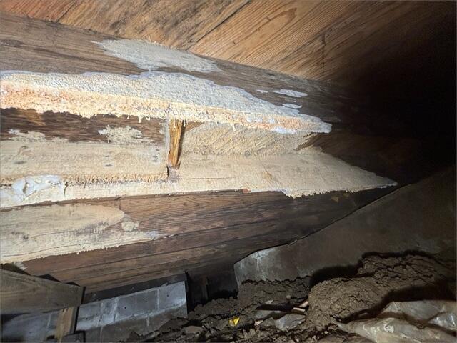Moldy Crawl Space Wood