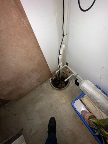 Old Sump Pump