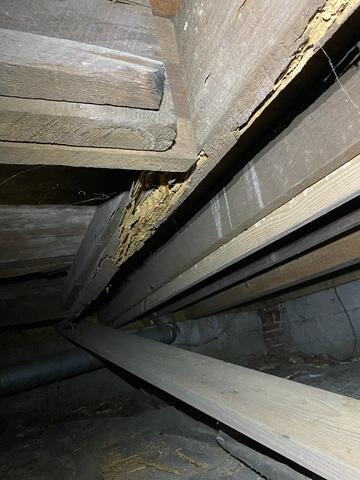 Rotted Wood Joists