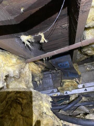 Wet Crawl Space