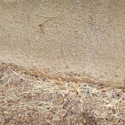 Treatments Are Then Shared