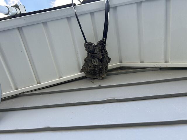 Both Treatments are Effective