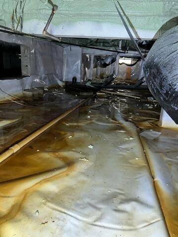 Damp and Wet Crawl Space