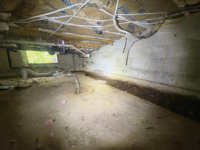 Crawl Space - Before