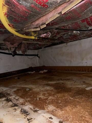 Damp Crawl Space