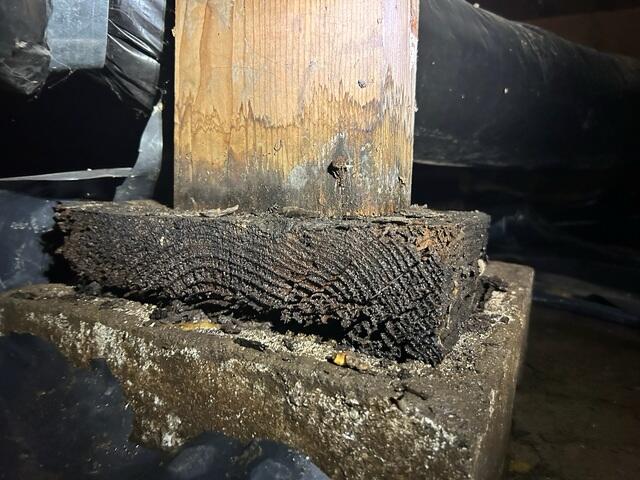 Long Term Water Damage