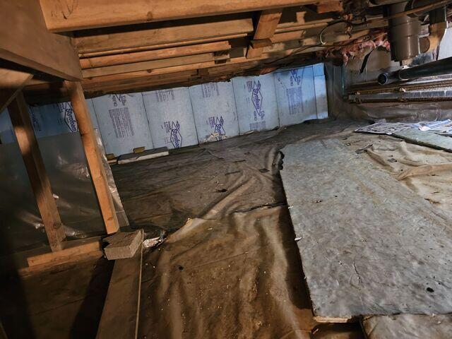 Crawl Space - Before