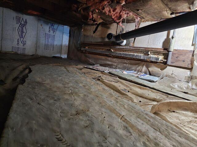 Crawl Space - Before