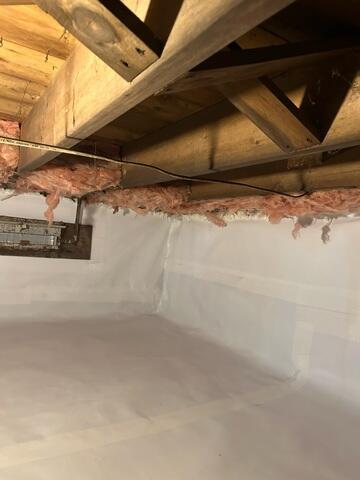 New CleanSpace