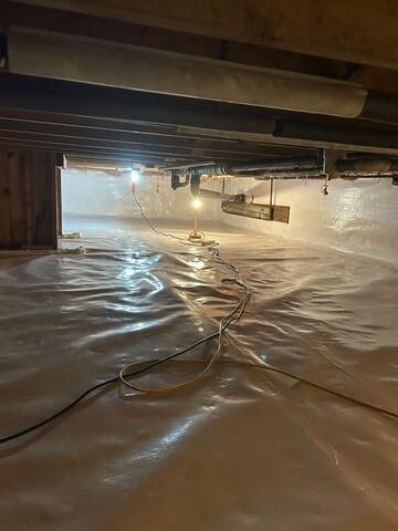 New CleanSpace