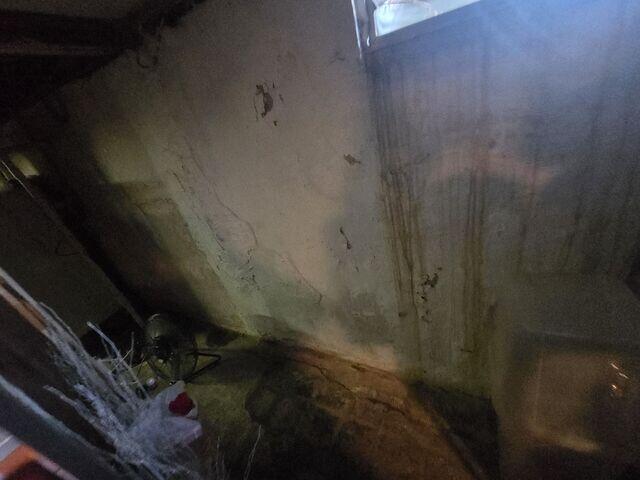 Damp Basement