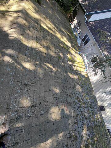 Roof before, with thick moss