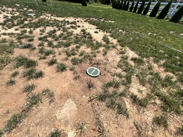 Pop-Up Yard Drain for Water Management