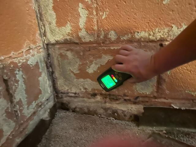 Maxed out Moisture Meter