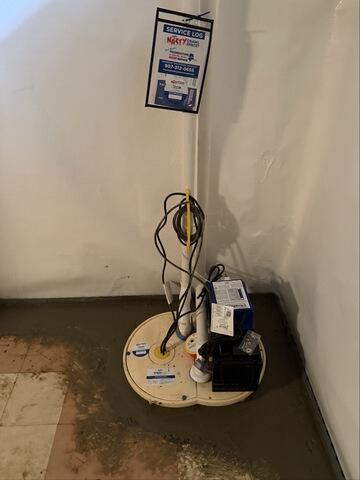 TripleSafe Sump Pump Installed