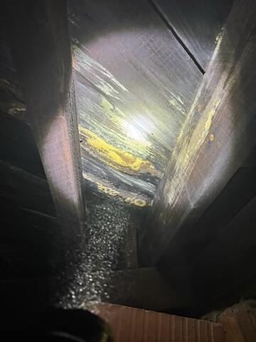 Crawl Space Moisture Damage