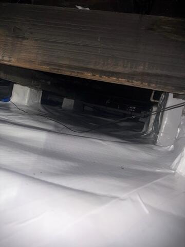 CleanSpace Moisture Barrier