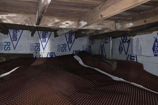 Mold on the Wooden Joists