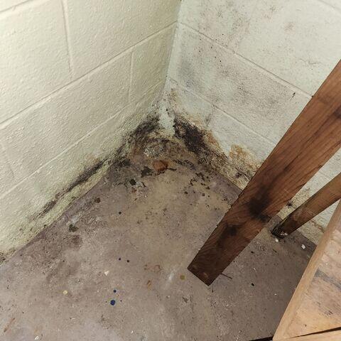 Signs of Basement Moisture Damage