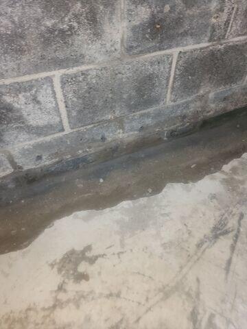 WaterGuard