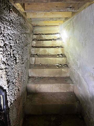 Old Basement