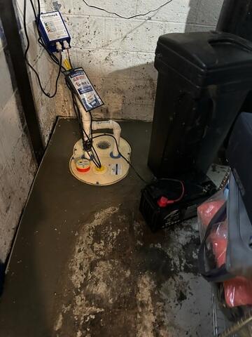 TripleSafe Sump Pump