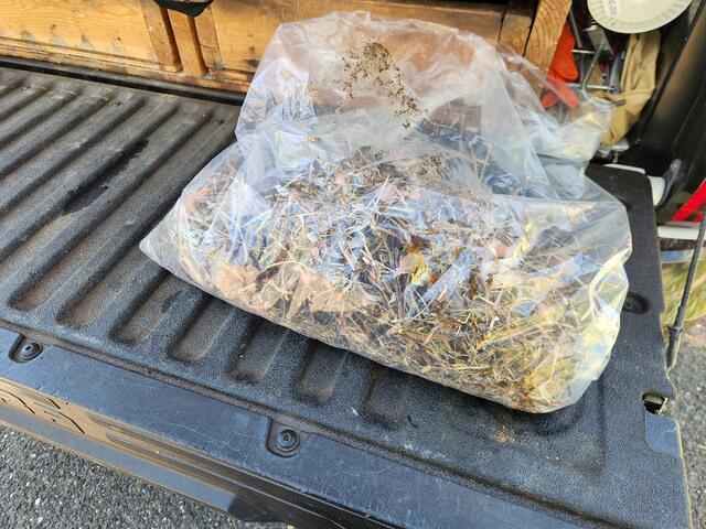 Lot of Nesting Debris from the Birds