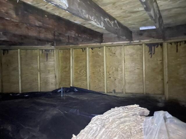 Before: Moisture and Mold Staining on Wood Framing