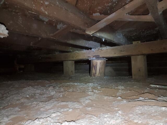 Before: Exposed Soil and Wood Supports