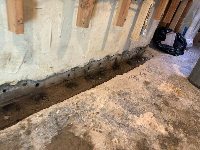 Trench Line