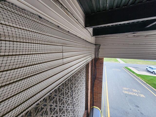 Humanely Block the Birds