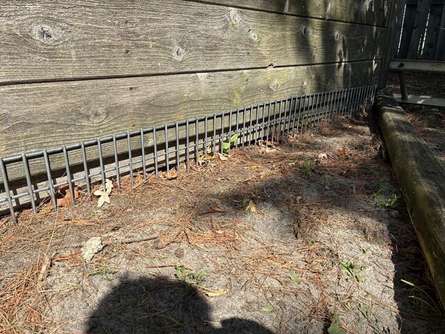 Now Comes Dig Defense®