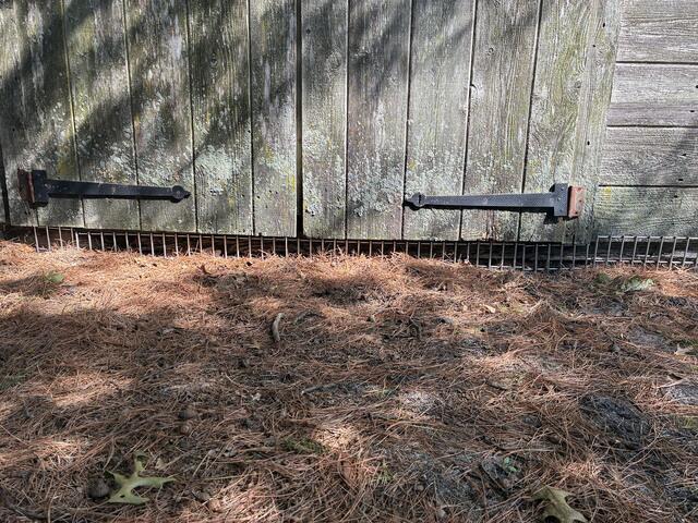 Relocate The Groundhogs