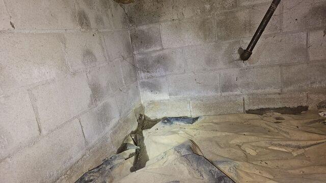 More Moisture issues