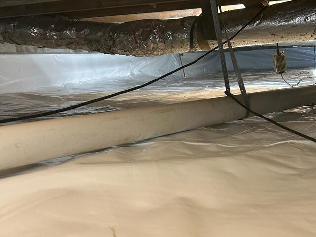 CleanSpace Liner