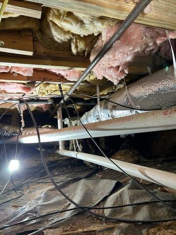 Crawl Space Damage