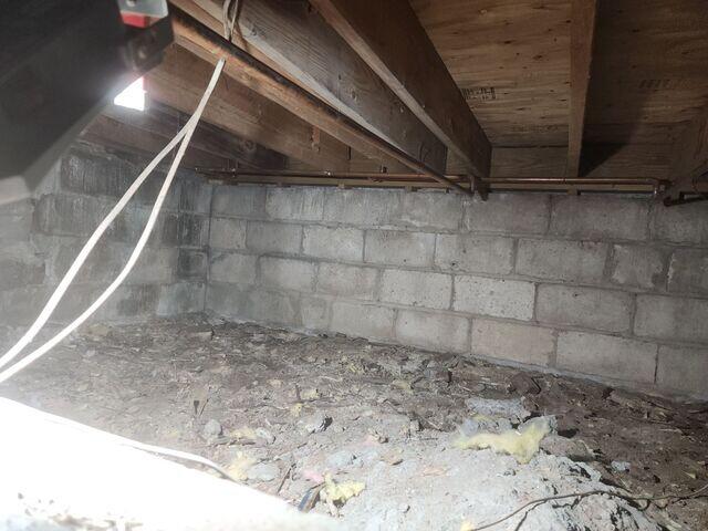 Damp Crawl Space