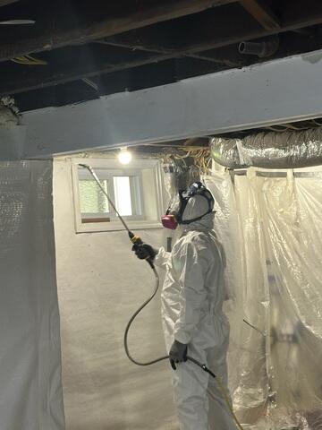 Preventing Mold