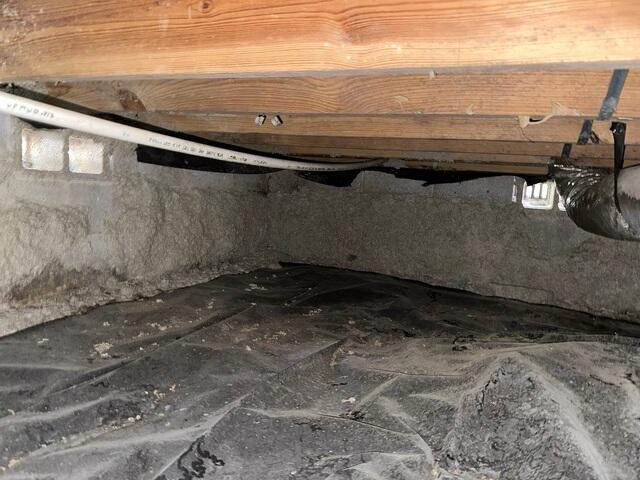 Moisture Damage