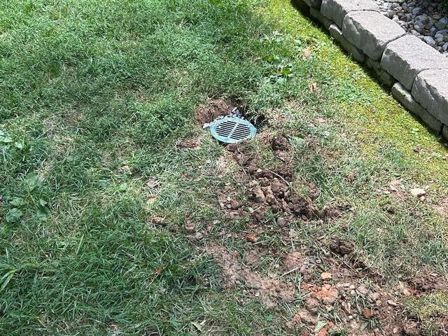 LawnScape™