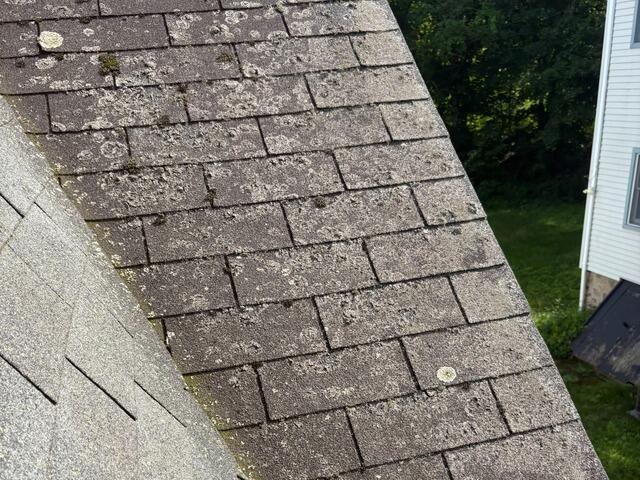 Before: Deteriorating Shingles & Moss Growth