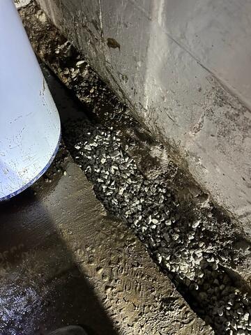 No Structural Damage