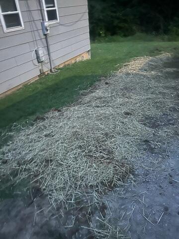 Restoring Landscaping