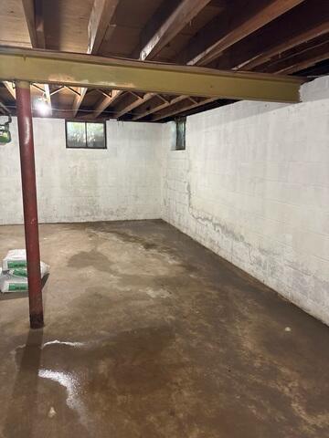 Wet Basement